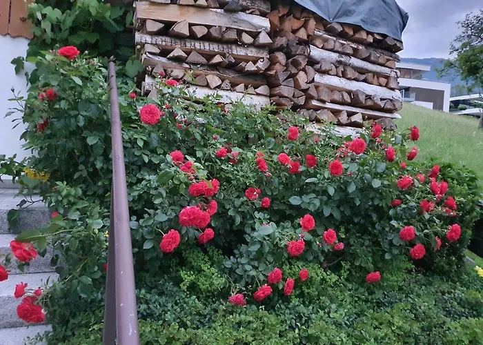 DreamlandRanch Vorarlberg