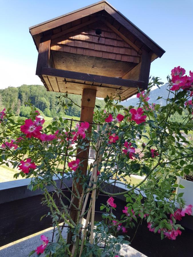 Dreamlandranch Vorarlberg Séjour chez l'habitant Schlins